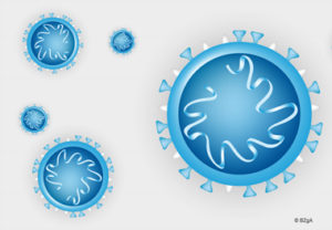 graphische Darstellung zum Corona-Virus. Quelle: BZgA
